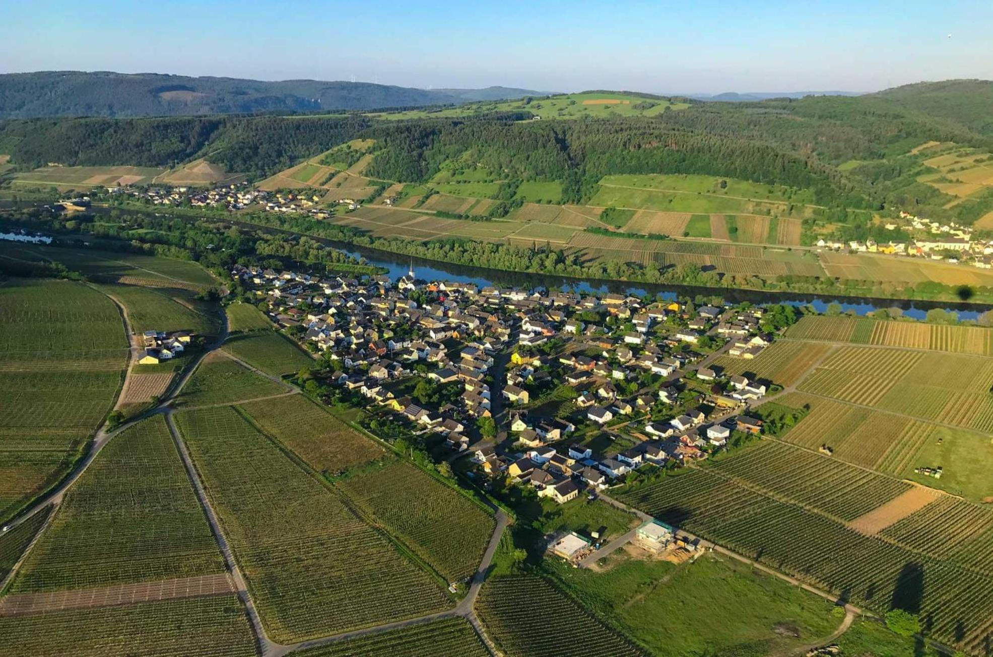 Ferienwohnungen Moselterrasse Detzem Экстерьер фото