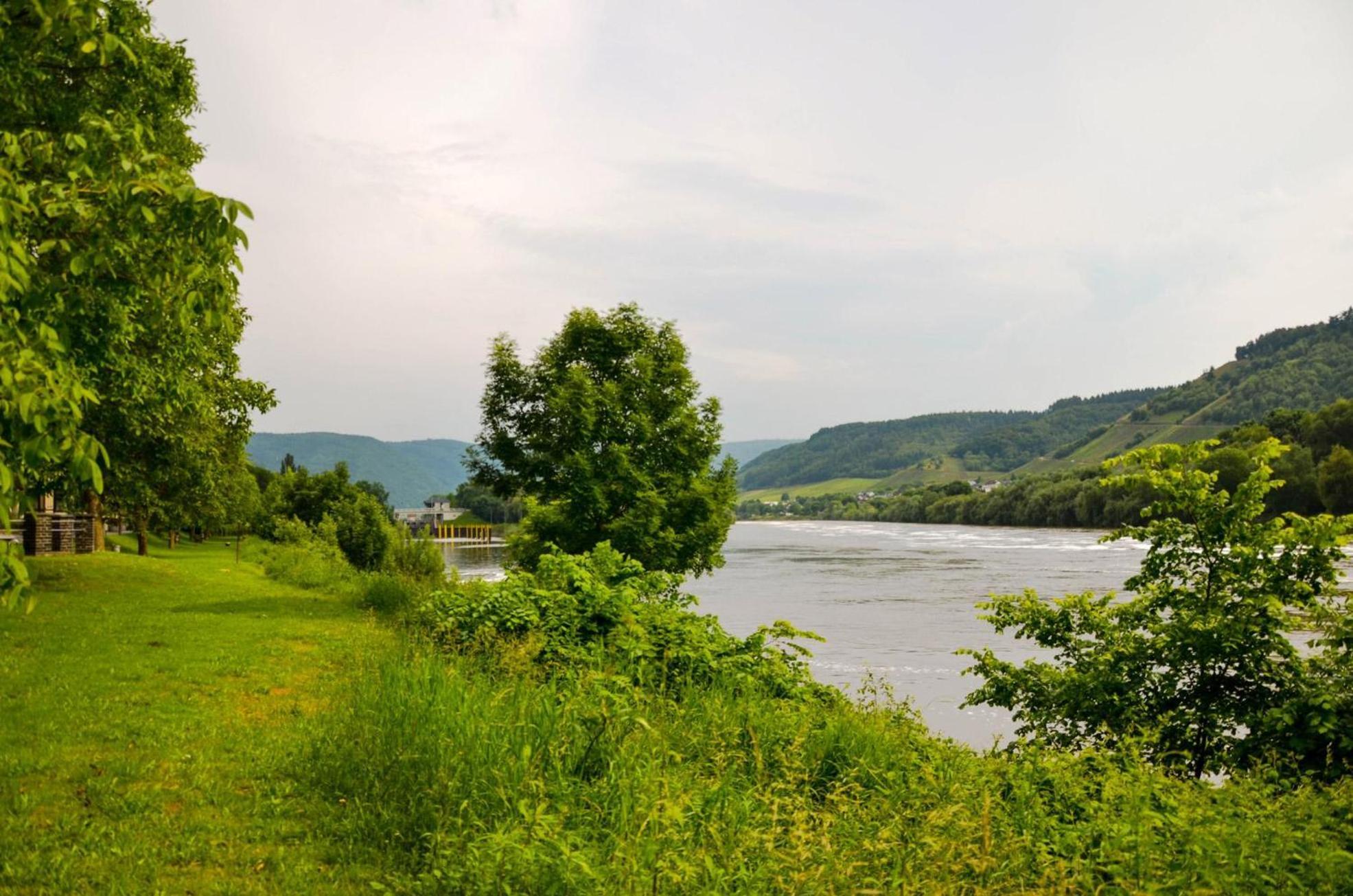 Ferienwohnungen Moselterrasse Detzem Экстерьер фото